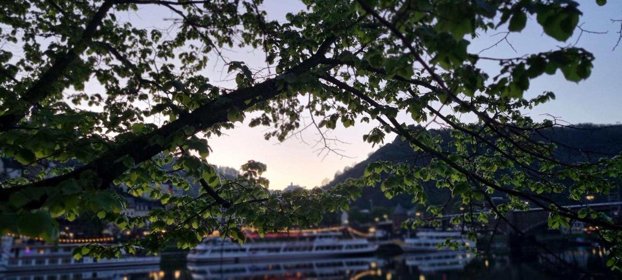 Pension Regina Cochem Exterior foto
